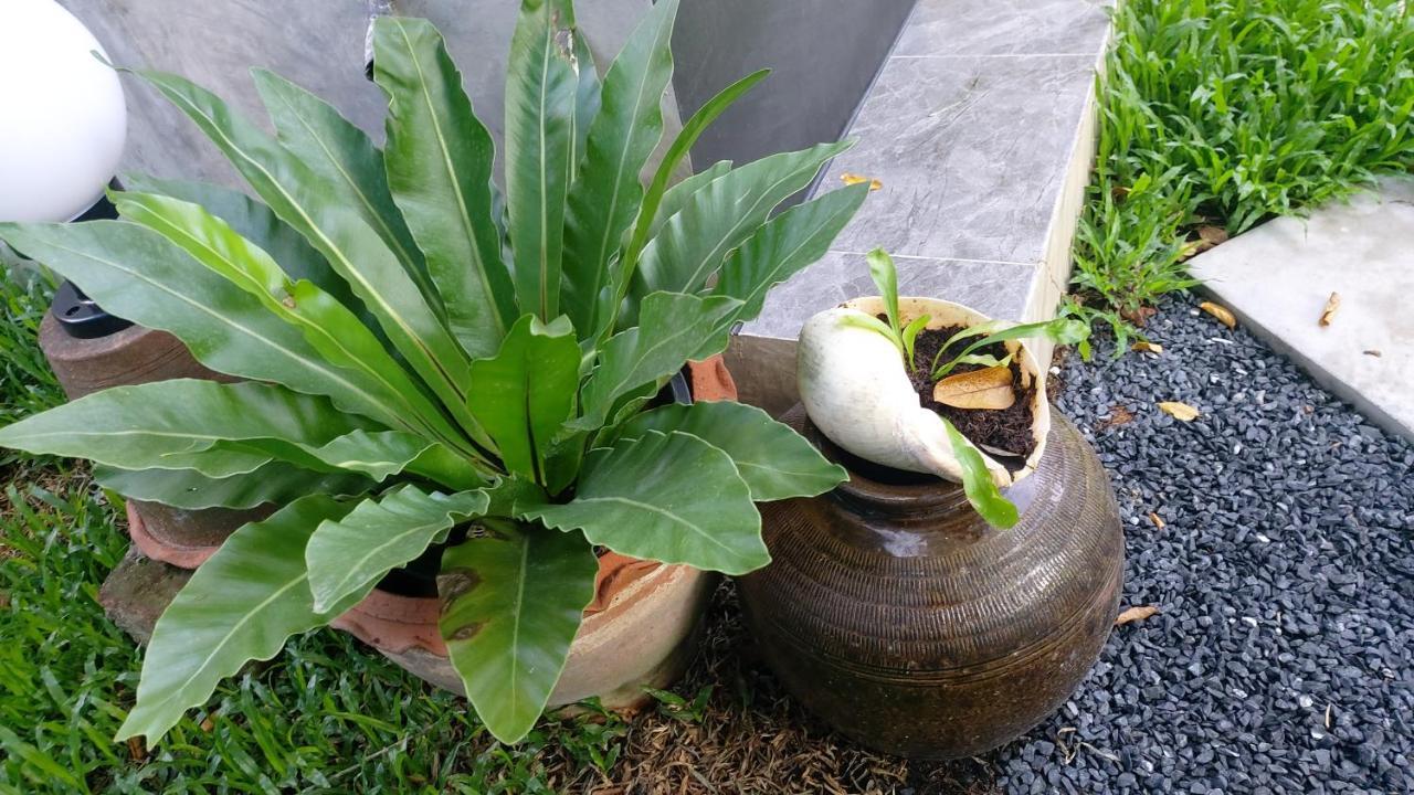 Marin' S Home Thalang Εξωτερικό φωτογραφία